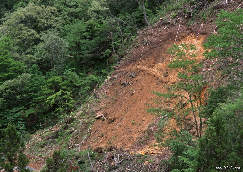 环境污染问题图片大全