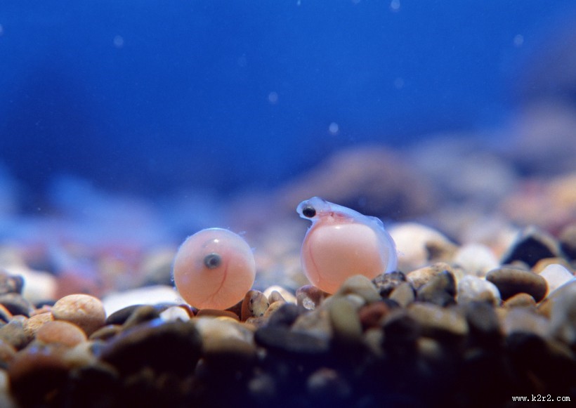 环境污染问题图片大全