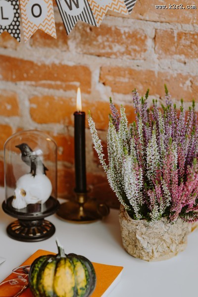 万圣节风格的的办公室图片