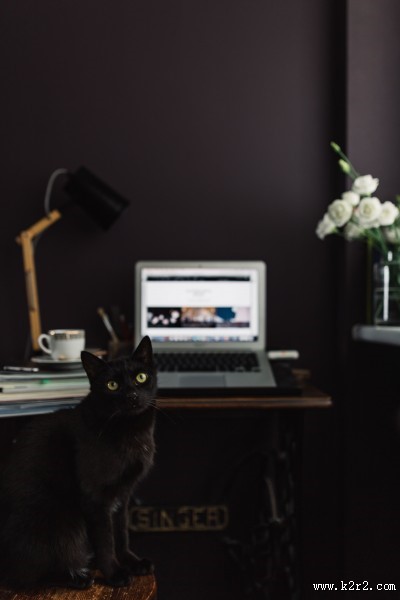 家庭办公室的图片