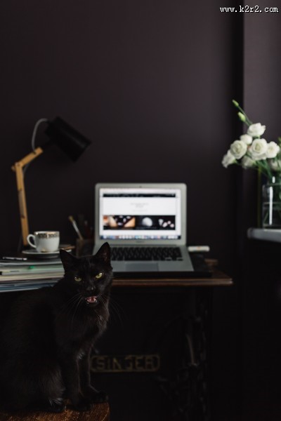 家庭办公室的图片