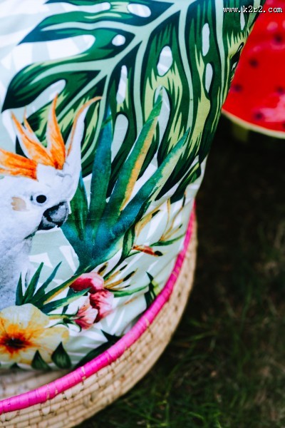 充满热带风格的图片大全