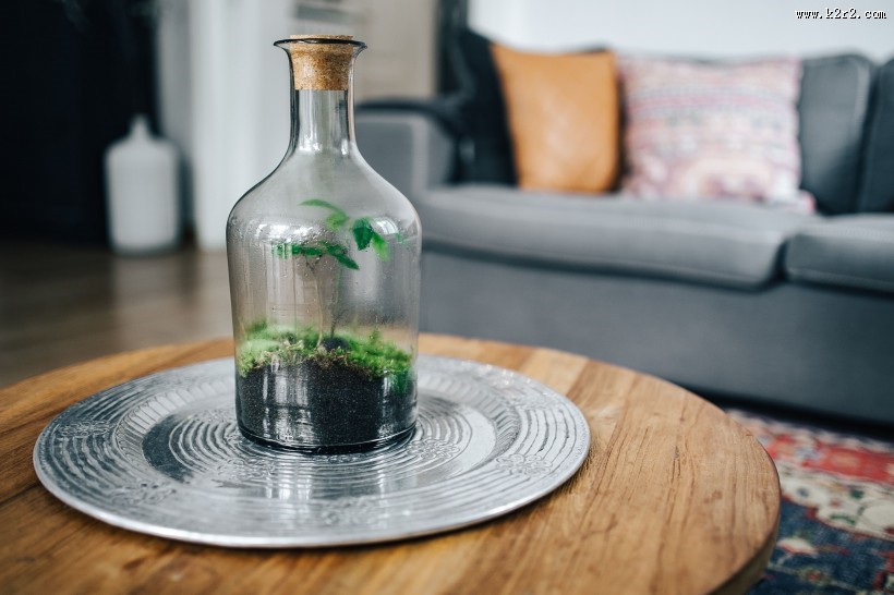 荷兰的家居装饰图片