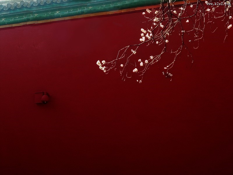 充满特色的墙的图片大全