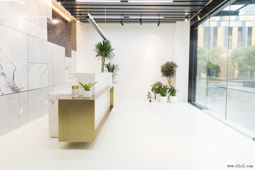 公司前台绿叶植物摆放装饰图片