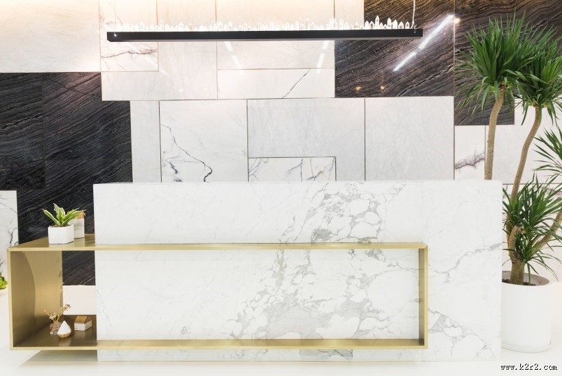 公司前台绿叶植物摆放装饰图片