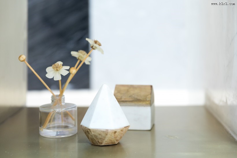 公司前台绿叶植物摆放装饰图片