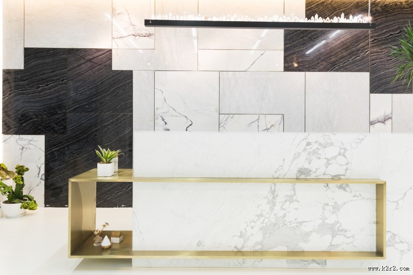 公司前台绿叶植物摆放装饰图片