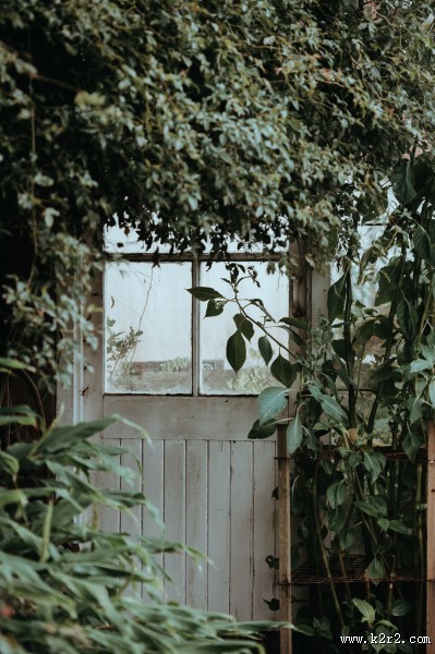 关闭的木门图片