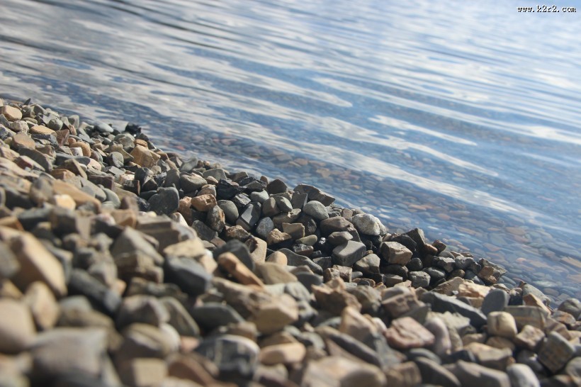 水边的鹅卵石图片