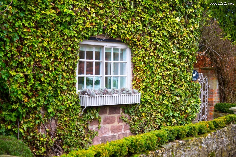 欧式窗户图片大全