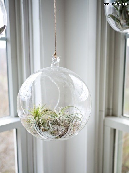 Sheldon的令人羡慕的工作台图片