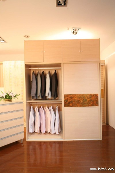 简单的衣柜图片大全