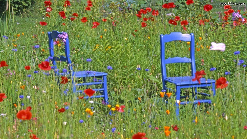 好看精致的椅子图片大全