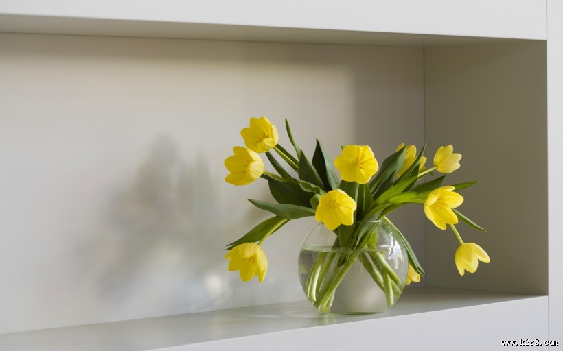 时尚收纳置物架图片