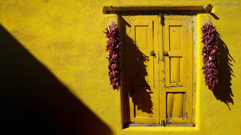 全世界各种有特色有爱的门图片