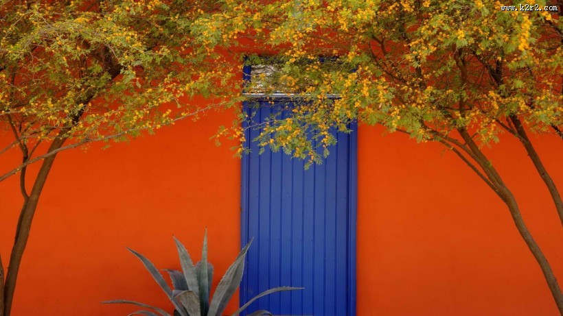 全世界各种有特色有爱的门图片