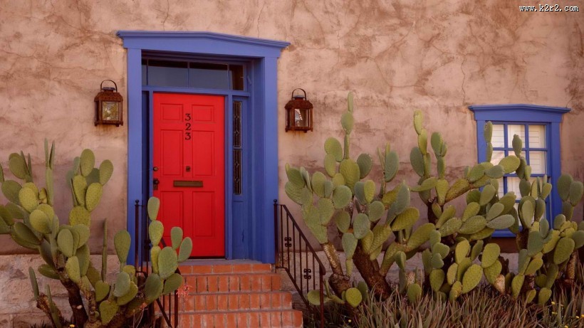 全世界各种有特色有爱的门图片