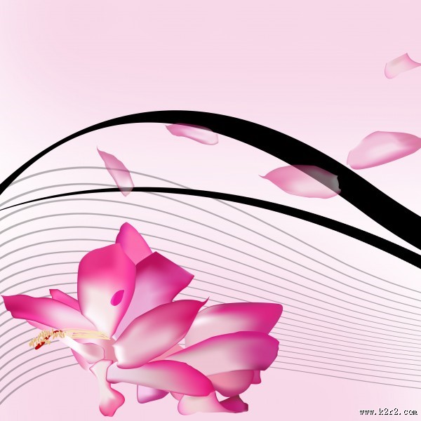 粉色温馨花朵三联画图片