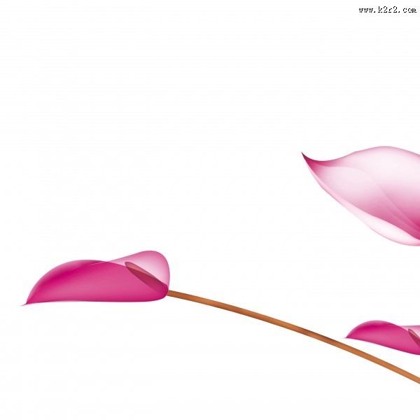 马蹄莲家居三联画图片