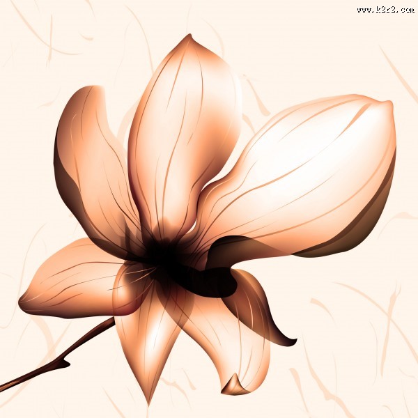 端庄大气花朵三联画图片