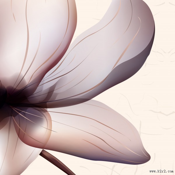 端庄大气花朵三联画图片