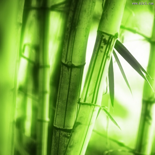 绿色清新家居三联画图片