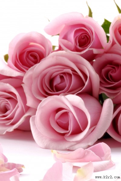 高清花朵家居三联画图片