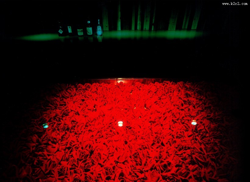 ILLUSION-深田恭通作品图片