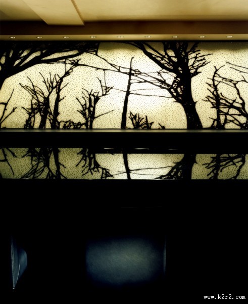 carmenere-深田恭通作品图片