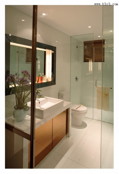 奢华风卫生间样板图片大全
