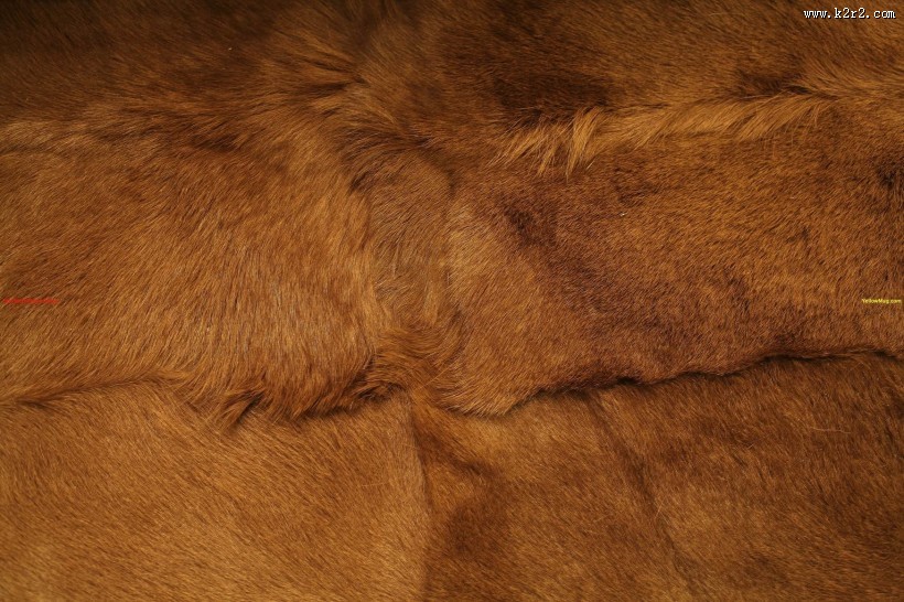 梁志天-上海浦东汤臣一品细节图片