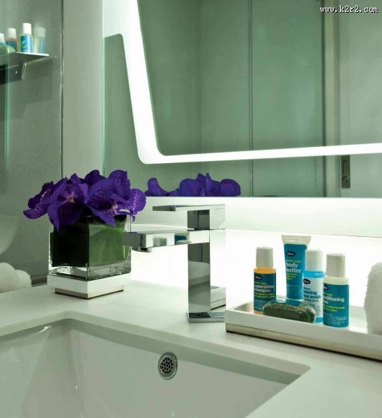 美国纽约市中心W酒店图片