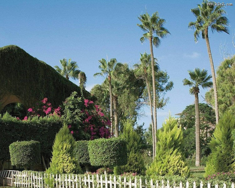 亚历山德里亚四季酒店图片大全