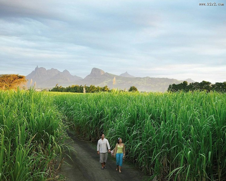 毛里求斯四季酒店图片