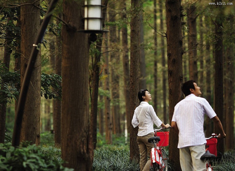 杭州西子湖四季酒店装潢图片