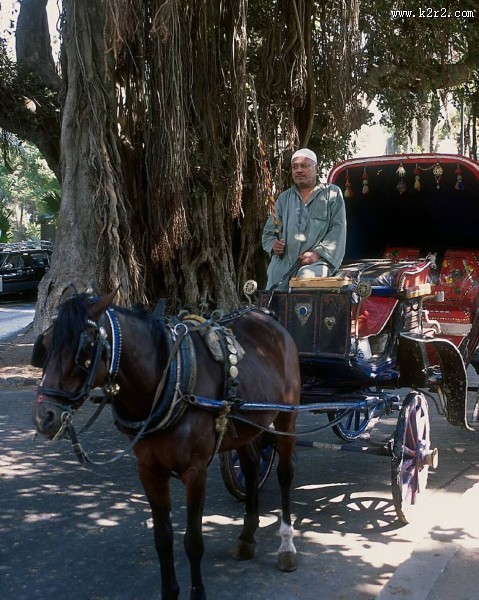 开罗四季酒店装潢图片