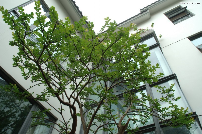 清华坊瀚园设计图片