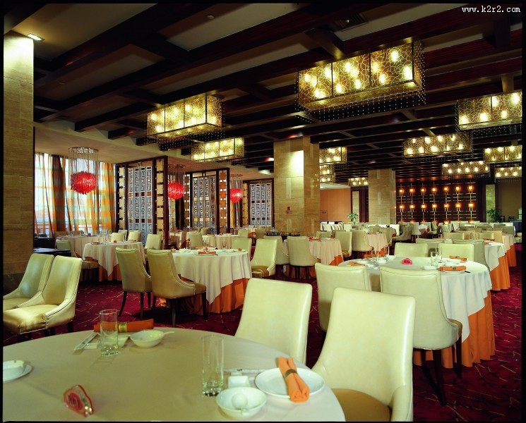 河南天地粤海大酒店-姜峰作品图片