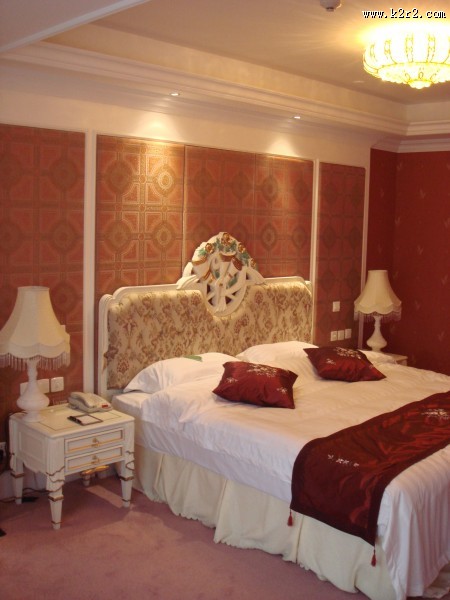 天津金泽大酒店-姜峰室内设计作品图片