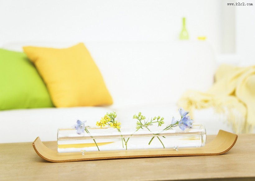 自然清新客厅图片