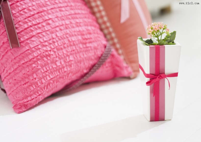 自然清新客厅图片