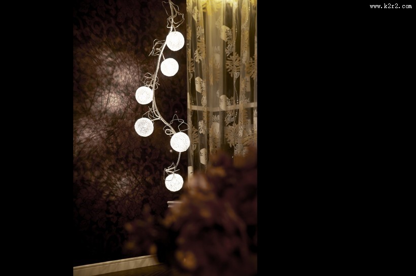 张建恒室内设计案例作品图片