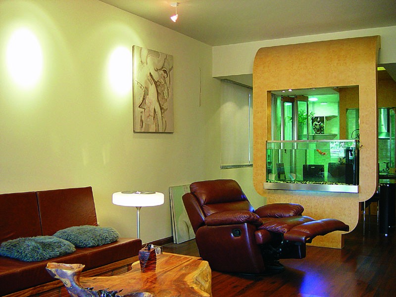 彩甸公寓样板间设计图片