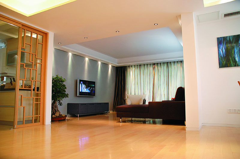 王宅室内设计案例图片