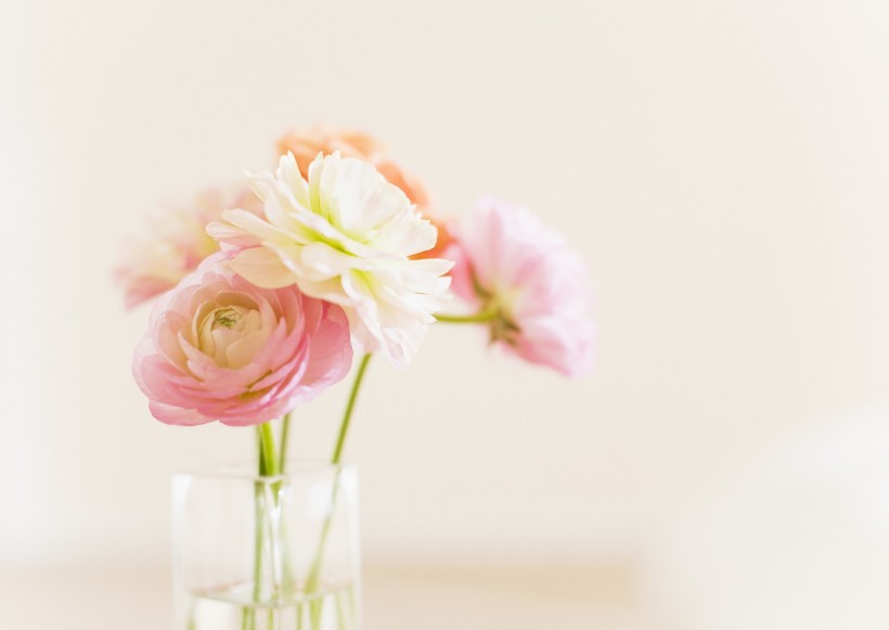 室内摆饰极简风图片