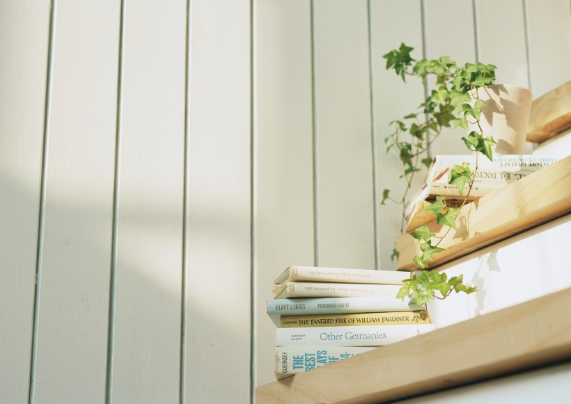 家居花草植物盆栽摆设图片大全