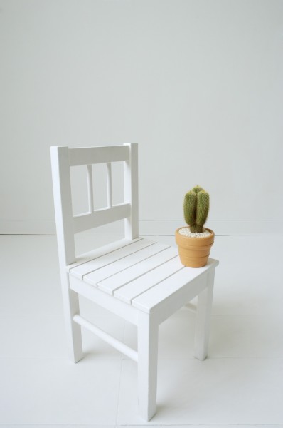 家居静物盆栽特写图片