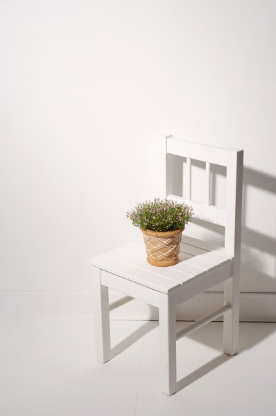 家居静物盆栽特写图片