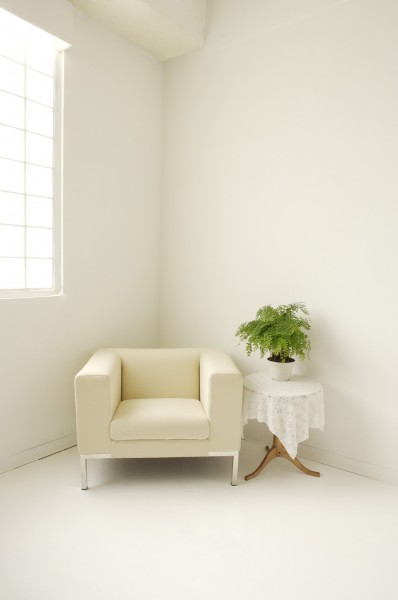 家居静物盆栽特写图片